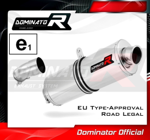 Прямоток DOMINATOR BMW R1200R 2010 - 2014 овальный
