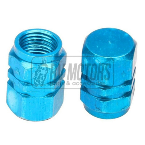 Колпачки ниппеля поршень голубой