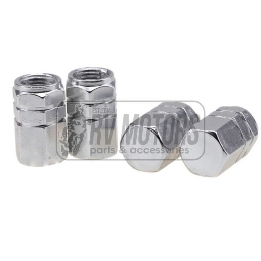 Ковпачки ніпеля поршень срібний 