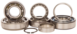 Ремкомплект КПП SUZUKI RMZ 450 05-07 HOT RODS TBK0053