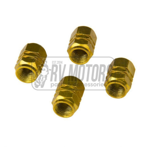 Колпачки ниппеля поршень золотой