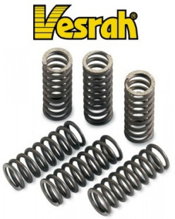 Пружины сцепления VESRAH SUZUKI 043-803