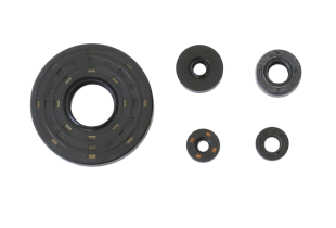 Комплект сальников двигателя HONDA VT 1100C '85-'94, VT 1100C SHADOW ACE '95-'97 ATHENA P400210400970