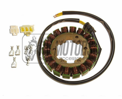 Генератор HONDA CBR 900 RR (00-01), CBR 929 (00-01) ELECTREX G89