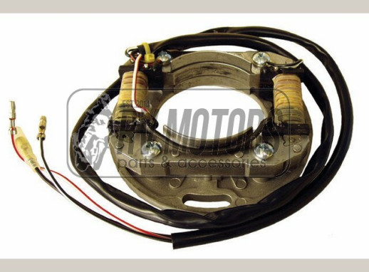 Генератор SUZUKI RM 65/85 ELECTREX ST2801