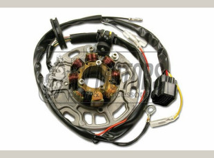 Генератор KAWASAKI KX 125 (01-) ELECTREX ST3199