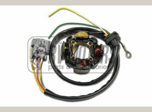 Генератор KAWASAKI KXF 450 06- ELECTREX ST3450