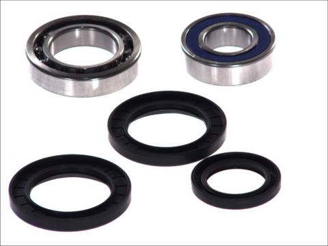 Подшипники оси колеса YAMAHA YFM 250-600 1999- 4 RIDE AB25-1139