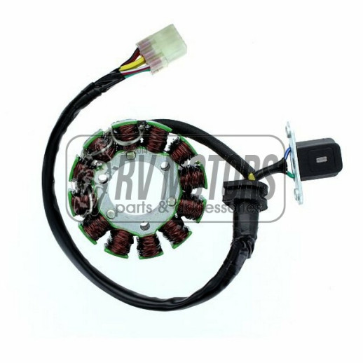 Генератор SUZUKI RMZ 250 (10-13), RMZ 450 (08-12) ELECTROSPORT ESG728