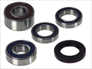 Подшипники оси колеса HONDA CTX, ST 1300 2002- 4 RIDE AB25-1464