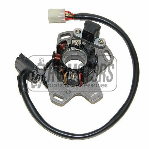 Генератор SUZUKI RM 125 '06-'08 ELECTROSPORT ESC477