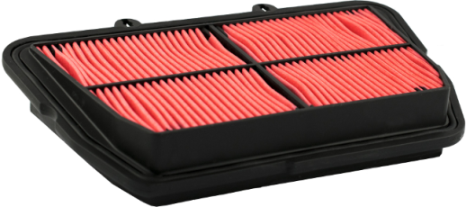 Повітряний фільтр TRIUMPH TIGER 800 2011- Champion CAF5501