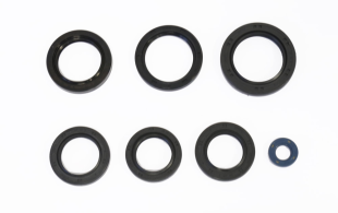 Комплект сальников двигателя KAWASAKI KVF360 PRAIRIE`03-13, KFX700`04-09 ATHENA P400250400018