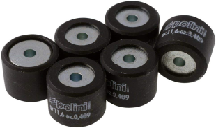 Ролики вариатора POLINI 046-91-116 16x13/11,6г 6шт