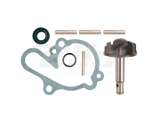 Ремкомплект водяной помпы AM6 (APRILIA 50, MBK 50, YAMAHA DT/TZR 50) VICMA 1008721