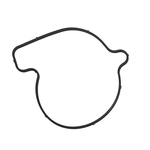 Прокладка водяной помпы WODY CAN-AM OUTLANDER 800/1000 ATHENA S410089024001