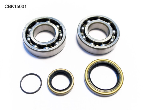 Комплект подшипников коленвала BETA 2T 250/270/290/300 ALL, 250/300 RR '13-17 (NTN) (23.CBS73013) BEARING WORX CBK15001
