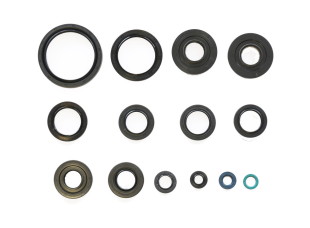 Комплект сальников двигателя KAWASAKI KVF750I BRUTE FORCE`06-12, KVF650I`08-14 ATHENA P400250400029