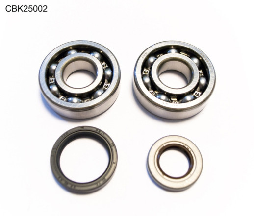 Комплект підшипників колінвалу GAS GAS EC 125 &#39;10- (NTN) BEARING WORX CBK25002