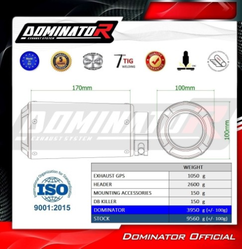 Полная система выхлопа Triumph Street Triple 765 RS 2024 - 2025 DOMINATOR GPS