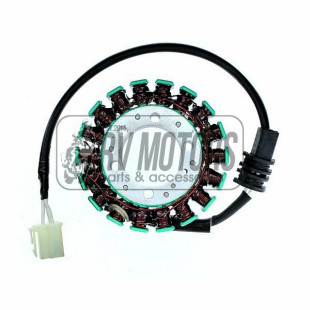 Генератор YAMAHA FZ6 / FZS6 (04-09) ELECTROSPORT ESG795