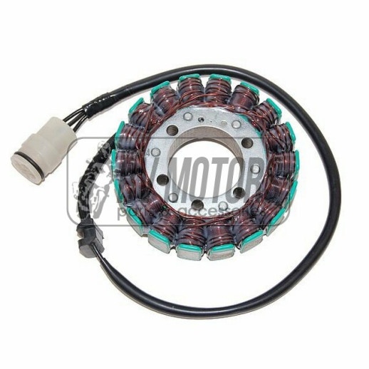 Генератор KAWASAKI ZX6R/ZX-6RR (03-04), Z 750S (05-06), Z 1000 (03-06) ELECTROSPORT ESG636