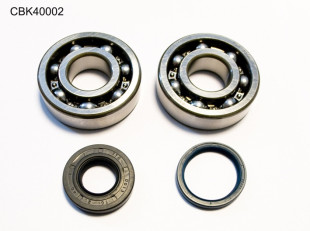 Комплект подшипников коленвала HUSQVARNA CR250 99-04, WR250 99-13, WR300 98-13 (NTN) (24-1107) BEARING WORX CBK40002