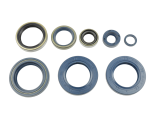 Комплект сальников двигателя KTM LC4 625/640/660`03-07 ATHENA P400270400006