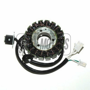 Генератор SUZUKI DL 650 V-STROM (02-07) ELECTROSPORT ESG842