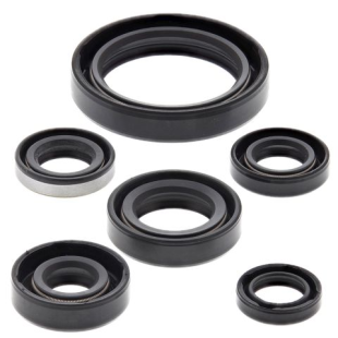 Комплект сальников двигателя KAWASAKI KLX250R 94-96, KLX250S 06-18, KLX250SF 09-10, KLX300(R) 97-07 WINDEROSA 822137