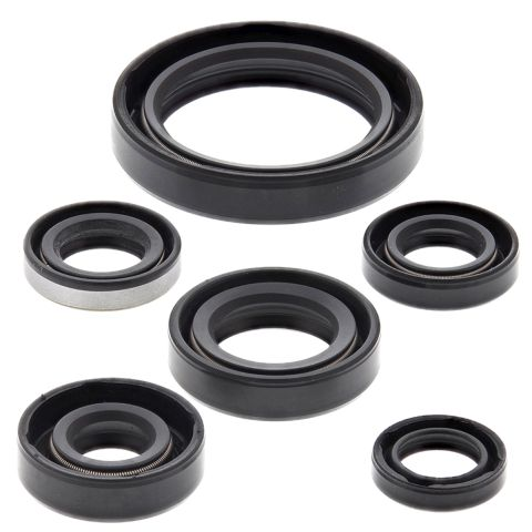 Комплект сальников двигателя KAWASAKI KLX250R 94-96, KLX250S 06-18, KLX250SF 09-10, KLX300(R) 97-07 WINDEROSA 822137