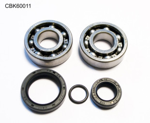 Комплект подшипников коленвала KTM SX 50 10-12, SX50 MINI 09-15 (NTN) (24-1099) BEARING WORX CBK60011