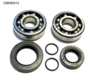 Комплект подшипников коленвала KTM SX 65 09-17 (NTN) (24-1103) BEARING WORX CBK60012