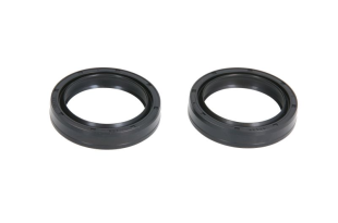 Сальники вилки BMW C, R; MOTO GUZZI BREVA, V7 600-1000 1990- 4 RIDE AB55-161