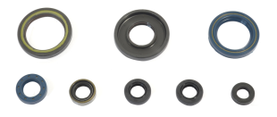 Комплект сальников двигателя KTM GS 250 84-89 ATHENA P400270400033