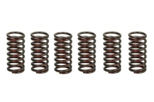 Пружины сцепления KTM FREERIDE 250R '14-  TRW LUCAS MEF328-6