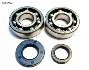 Комплект подшипников коленвала SUZUKI RM250 03-04 (NTN) (24-1046) BEARING WORX CBK70004