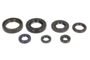 Комплект сальников двигателя YAMAHA YFS 200 BLASTER '88-06 ATHENA P400485400205