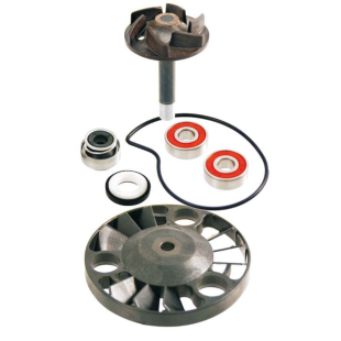 Ремкомплект водяной помпы PIAGGIO BEVERLY 125/200 '01-'05; X8 125/200 '04; X9 125/200 '00- '03; GILERA RUNNER 125/180/200 '00-'04; APRILIA ATLANTIC 125 '03-'05; SCARABEO 125 '03-'06 RMS 100110070