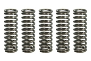 Пружины сцепления APRILIA PEGASO STRADA/TRAIL 650 '05-'10  TRW LUCAS MEF319-5